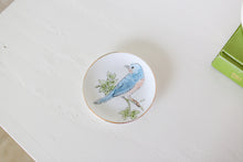 Load image into Gallery viewer, Blue Bird Jewelry Dish