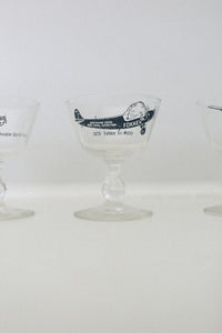 Aviation Champagne Glass Set