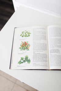 Flowering House Plants Coffee Table Book