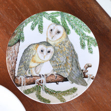 Load image into Gallery viewer, Christmas Owl Plate