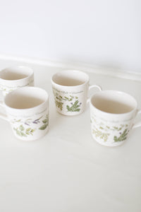 Herb Garden Mugs (Set of Four)